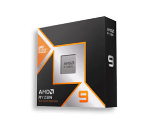 AMD RYZEN 9 9900X3D
