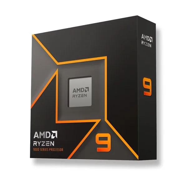 AMD RYZEN 9 9900X3D