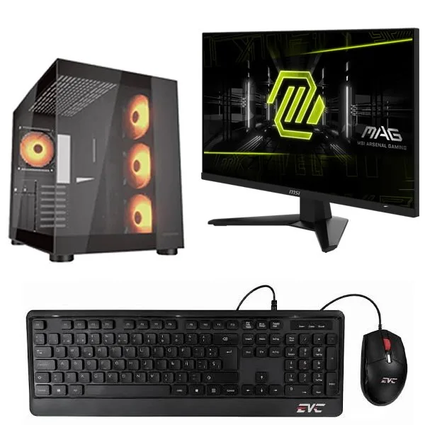 AMD EVC RYZEN 5 8600G
