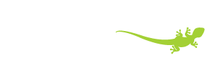 KAMALEON